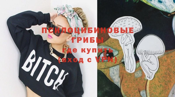 бутират Алексин
