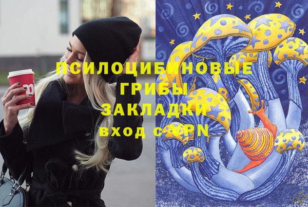 бутират Алексин